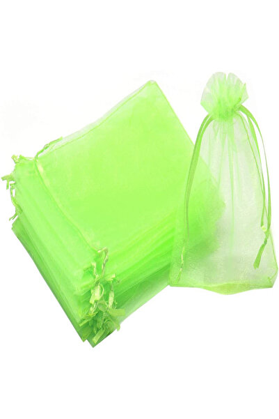Choice29 10x15cm (50 Pcs) Light Green 50/100Pcs Fruit Protection Netting Bags...