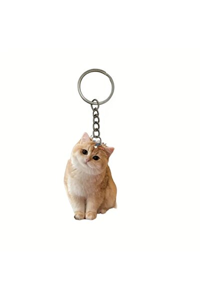Choice Orange 1pc, Black and White Cat Keychain, 2D Acrylic Cat Pendant,Doubl...