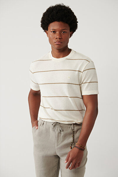 Avva Men's Light Beige Crew Neck Striped Regular Fit T-Shirt A41Y1016
