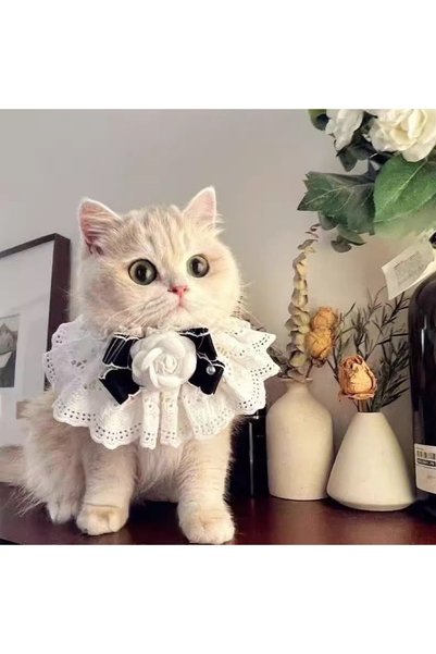Choice Cat Collar-04 Cat Dog Collar Silk Wedding Cat Puppy Ribbon Scarf Princ...