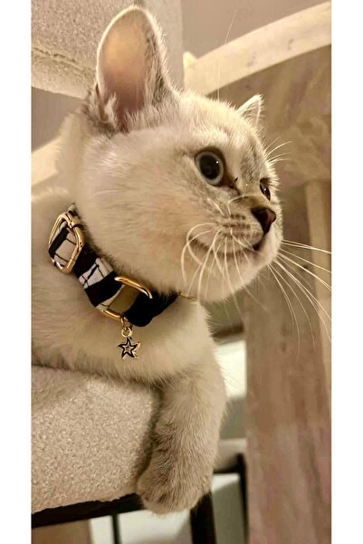 GoPawGo Charmlı Shadow Yumuşak ve Ayarlanabilir Kedi Boyun Tasması