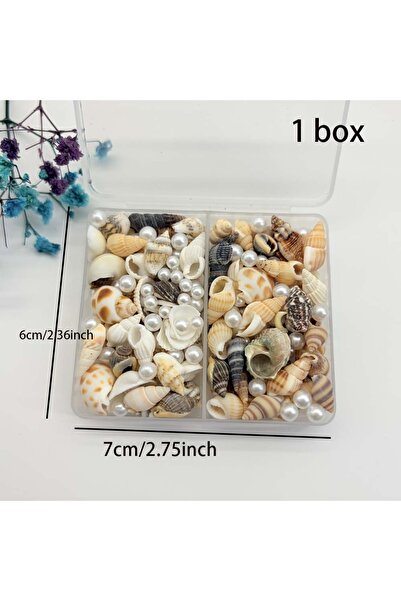 Choice 1 box 1/2 Boxs Natural Mixed Seashells Ocean Pearls Seashells Beach De...