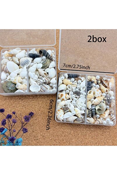 Choice1 2 box 1/2 Boxs Natural Mixed Seashells Ocean Pearls Seashells Beach D...