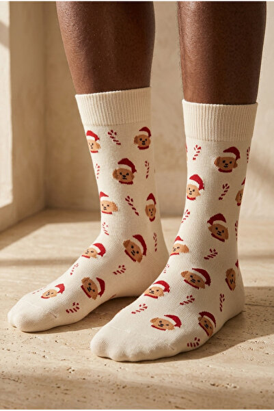 Katia&Bony Ανδρικές κάλτσες Dog Socket Beige Melange