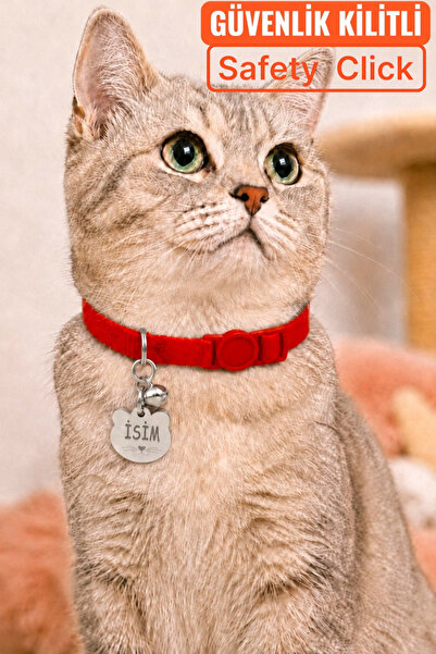 CARAMELOS İSİMLİ KEDİ TASMASI KEDİ İSİMLİK KİŞİYE ÖZEL-GÜVENLİK KİLİTLİ- EKO ...