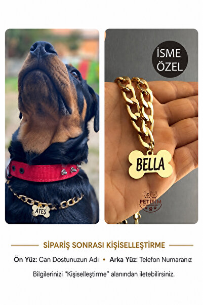 PETİSİM PET AKSESUARLARI Isimli Köpek Tasması Köpek Isimlik Künye Zincir Pasl...