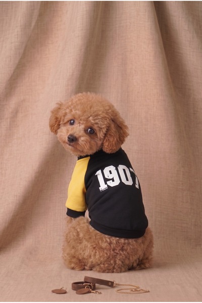 Patipin Yellow Navy Blue Fan Collection 1907 Written Dog Outfit - Small Breed...