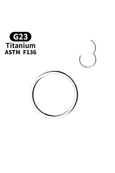 Choice13 16G-1.2mm-8mm S1-1pc-silvery 1Pc G23 Titanium Hinged Nose Rings, Bod...