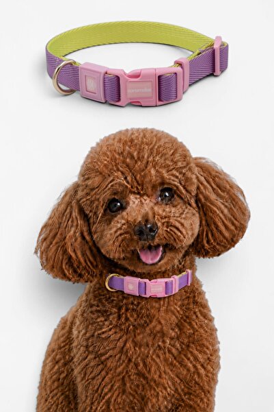 CARAMELOS Dog Collar-Dubble Knitted Fabric-Dog Neck Collar- Small Breed Colla...
