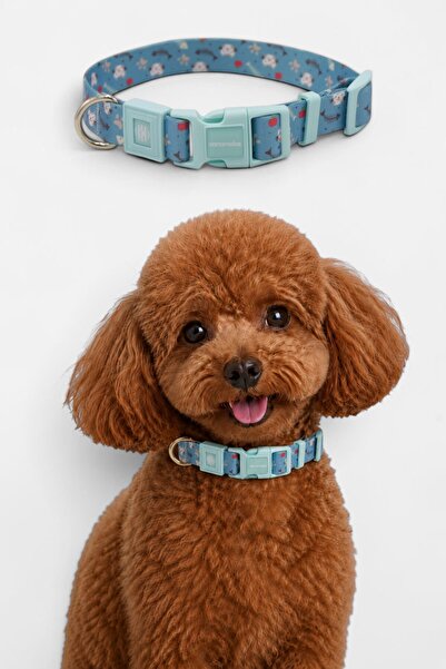 CARAMELOS KÖPEK TASMASI-KÖPEK BOYUN TASMASI- KÜÇÜK IRK TASMA- ORTA IRK TASMA-...
