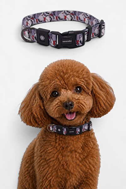 CARAMELOS KÖPEK TASMASI-KÖPEK BOYUN TASMASI- KÜÇÜK IRK TASMA- ORTA IRK TASMA-...