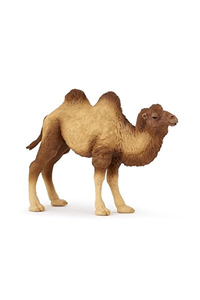 Generic Papo -hand-painted - figurine -Wild animal kingdom - Bactrian Camel -...