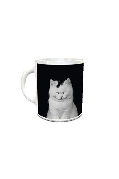 Generic Impress Ceramic Coffee Mug with Cute Cats Design (White)
