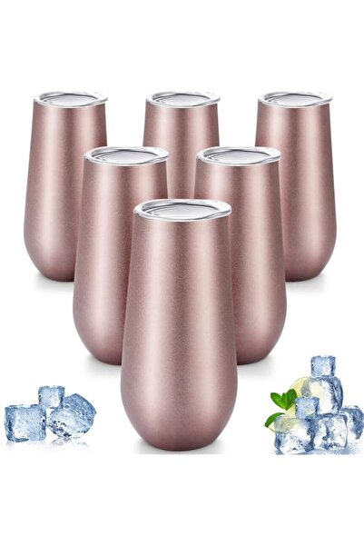 Generic Maxdot 6 Pieces Champagne Tumbler Stemless Flutes Double Insulated Mi...