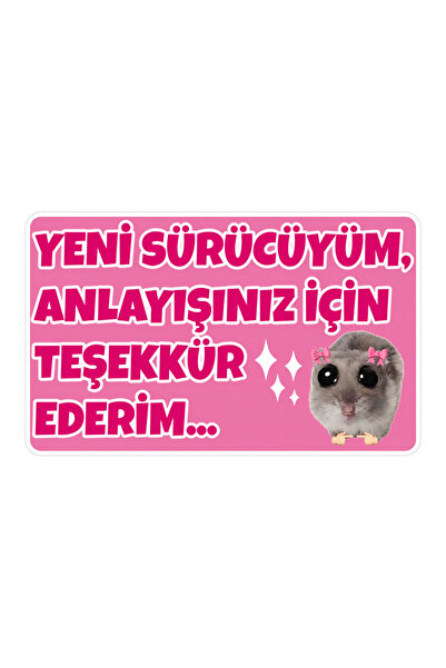Quart Aksesuar Acemi Sürücü Yeni Sürücü Araba Motor Cam Sticker 22x13 cm