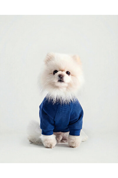 Küçük Irk Yakalı Köpek Sweat