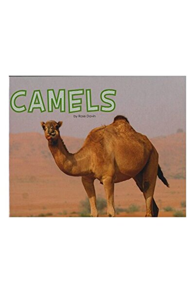 Generic (Unbranded) Cămile