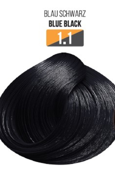 Evoque Professional Ammonia-Free Hair Color USA, Shade 1.1 BLUE BLACK - With ...