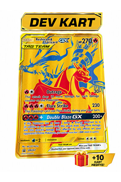Pokémon Pokemon DEV Rashiram & Charizard EX [ DEV BOY KART] +10 KART HEDIYE