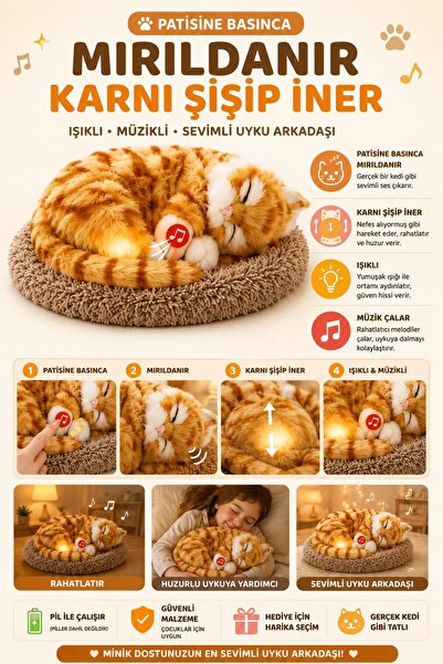 Genel Markalar Uyuyan Kedi Müzikli Işıklı Karnı Şişip İner