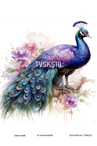 LİNEART PİRİNÇ DEKOPAJ TVSKŞ10 Tavuskuşu
