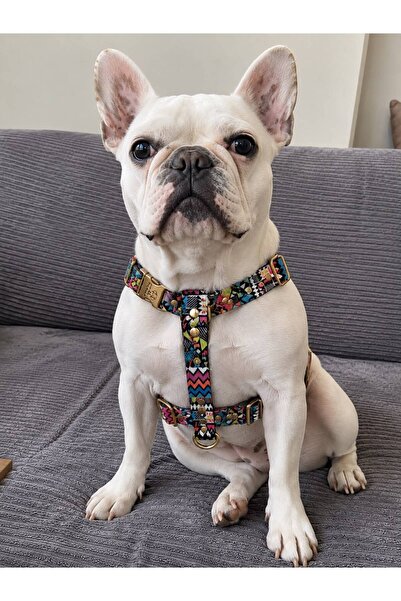 STYLE DOG GÖĞÜS BEL TASMA