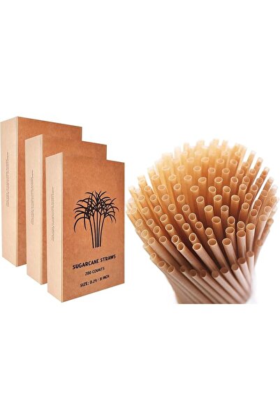 TERRIFI 100 Biodegradable Sugarcane Straws - 8 Inch Plastic-Free Drinking Str...