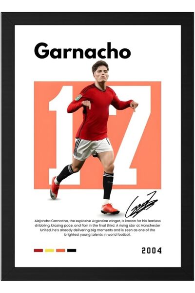 ALAYRA International Argentina Soccer Player A4 Football Wall Art for Bedroom...