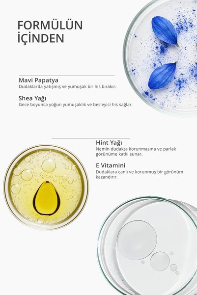 Lien Beaute Cocoon Dudak Derinlemesine Nemlendirici Besleyici Tazeleyici Pürüzsüzleştirici Gece Bakım Maskesi Lip Mask Mavi Papatya Hint Yağı Shea Yağı E Vitamini