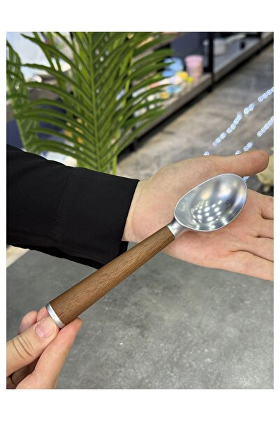 Doğudeko Luxury Wooden Handle Steel Ice Cream Spoon