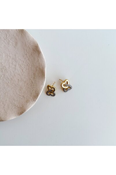 Boise Atelier Loveo Steel Earring |   Steel Earrings