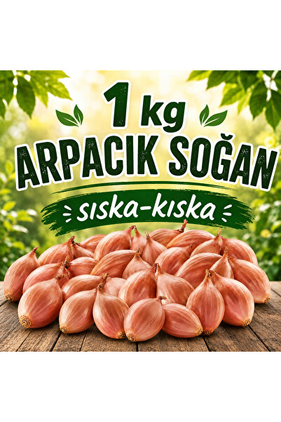 Ziraat Evim Kıska Soğan 1 kg Arpacık Soğan Iska Soğan Tohumu ıska