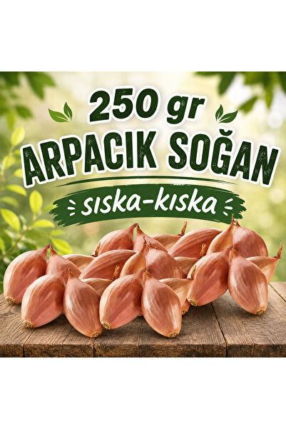 Ziraat Evim Kıska Soğan 250 gr Arpacık Soğan Iska Soğan Tohumu ıska