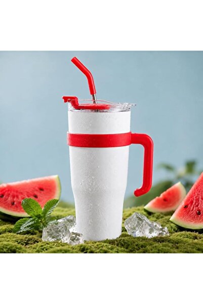 DHB tech Dhp Summer Watermelon Series Stainless Steel Insulated Mug with Hand...