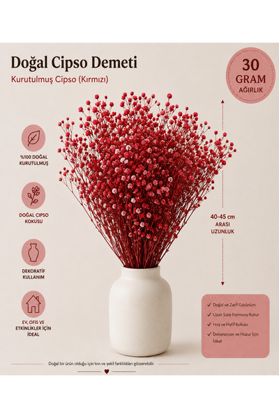 Rosess Şoklanmış Cipso Çiçeği Demeti | Kurutulmuş Cipso | Doğal Kuru Çiçek - ...