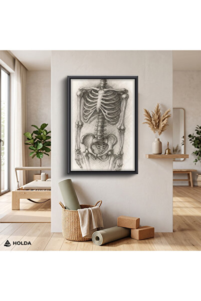 HOLDA Props Siyah Renk Çerçeveli MDF Tablo İnsan İskeleti Anatomi Tablosu Duv...