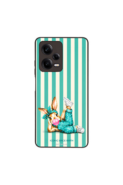 OEM Θήκη Sonique Stripe Stories Series για Xiaomi Redmi Note 12 Pro 5G Iconic...