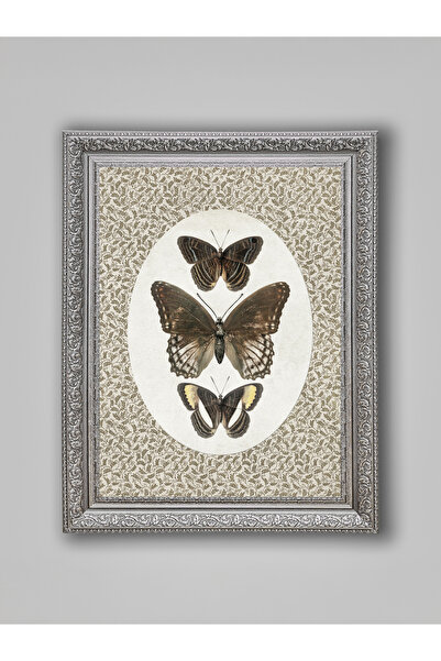 WoodyArts Brown Butterflies Gray Antique Framed Decorative Living Room Wall P...