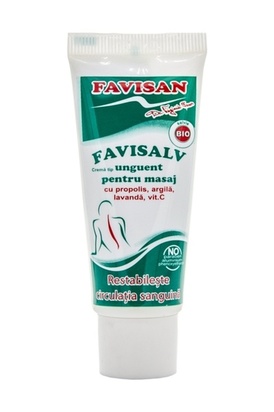 Favisan Salvamin massage ointment 40ml