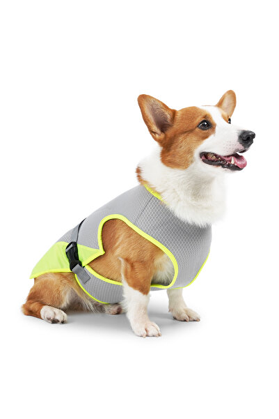 Choice XL GRAY Cooling Vest - Breathable Dog Vest for Hot Summer Days - Adjus...