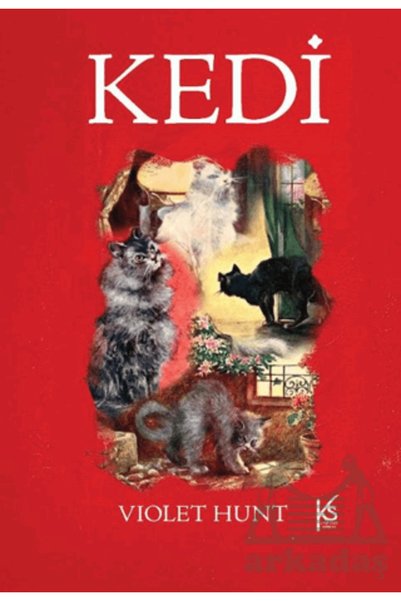 Kitapsaati Yayınları Cat