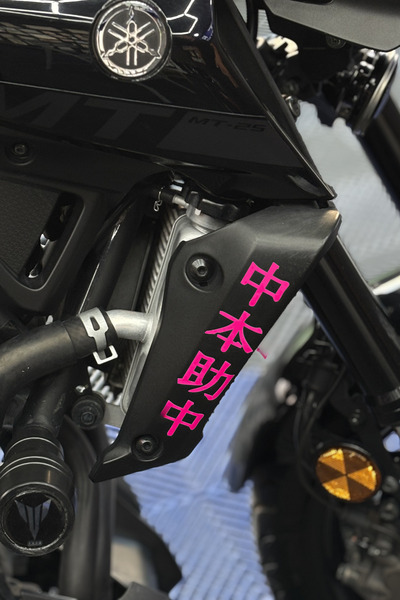 Banxtre Side Radiator Cover Top Japanese Text Sticker (Right and Left) for Ya...