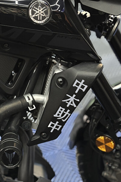 Banxtre Side Radiator Cover Top Japanese Text Sticker (Right and Left) for Ya...