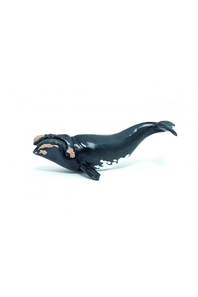 Papo FIGURINA BALENA
