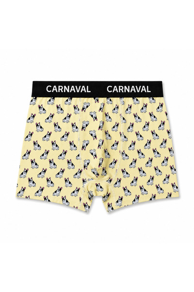 CARNAVAL SOCKS 3'lü Animal Crew Pamuklu Erkek Boxer Seti