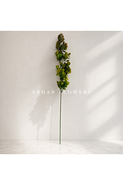 ERHAN FLOWERS YAPAY TIRTIKLI OKALİPTUS DEMETİ KIRMIZILI - DEKORATİF VAZO İÇİ ...
