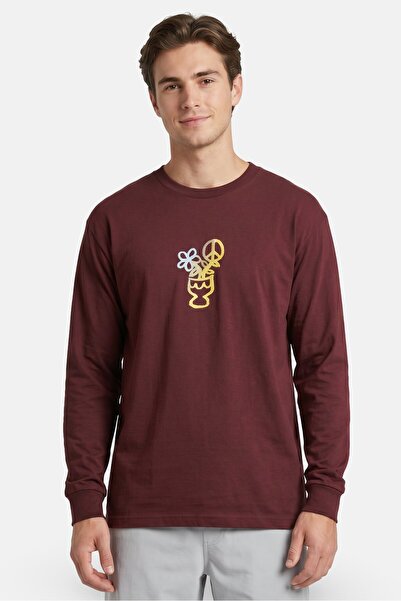 Stance Men Crew Neck Long Sleeve Graphic Print T-Shirt, Dark Maroon