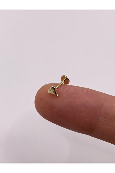 kurukafagift Mini kalpli Çelik Helix Tragus Piercing