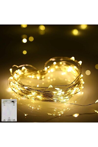 ANJAYLIA 10Ft/3M Exquisite Fairy Lights with 30 Mini Led Bulbs, Battery Opera...