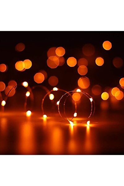 ANJAYLIA 10Ft/3M Exquisite Fairy Lights with 30 Mini Led Bulbs, Battery Opera...
